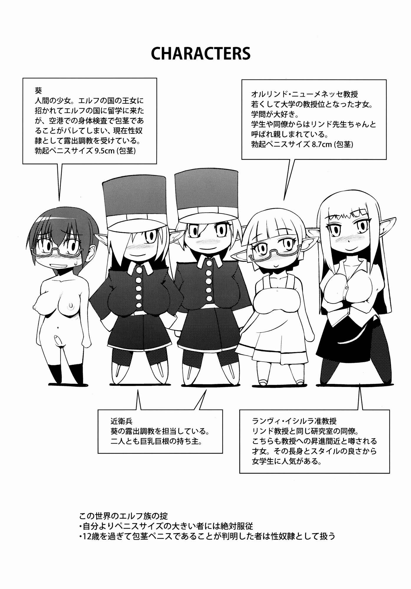 Page 3 Chapter Unknown_5de4 Elf no Kuni no Ochitai Kyouju