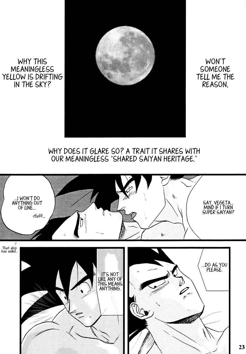 Page 23 Chapter Unknown_1119 Dragon Ball - Muimi na Kiiro (Doujinshi)