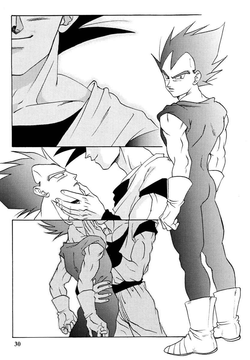 Page 30 Chapter Unknown_1119 Dragon Ball - Muimi na Kiiro (Doujinshi)