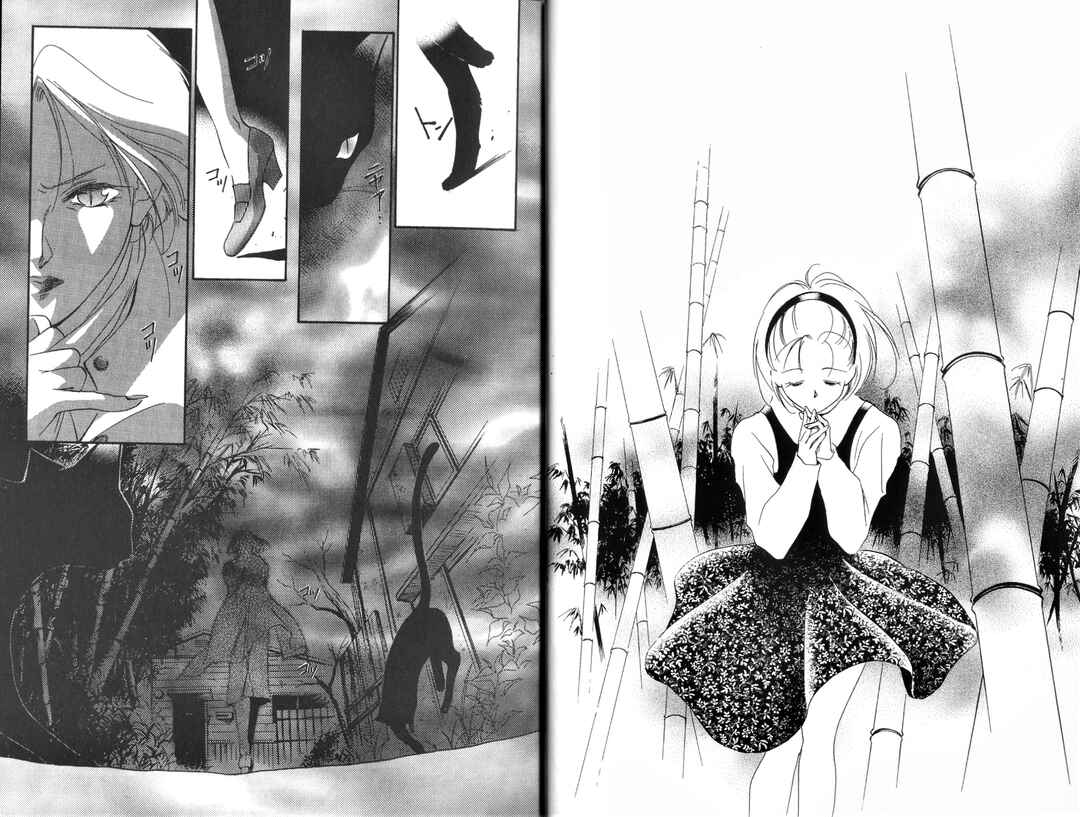 Page 6 Chapter 1 Vampire Princess Miyu