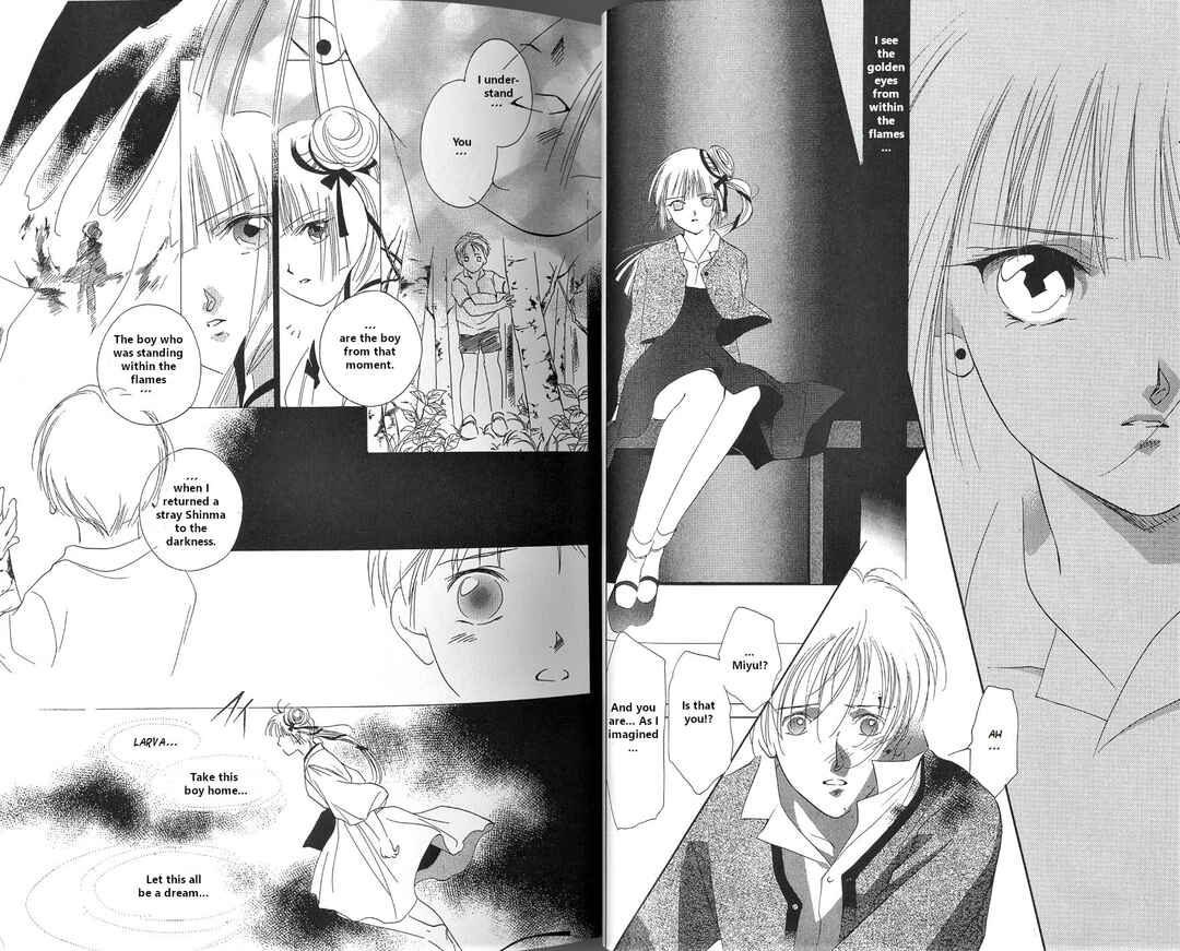 Page 19 Chapter 1 Vampire Princess Miyu