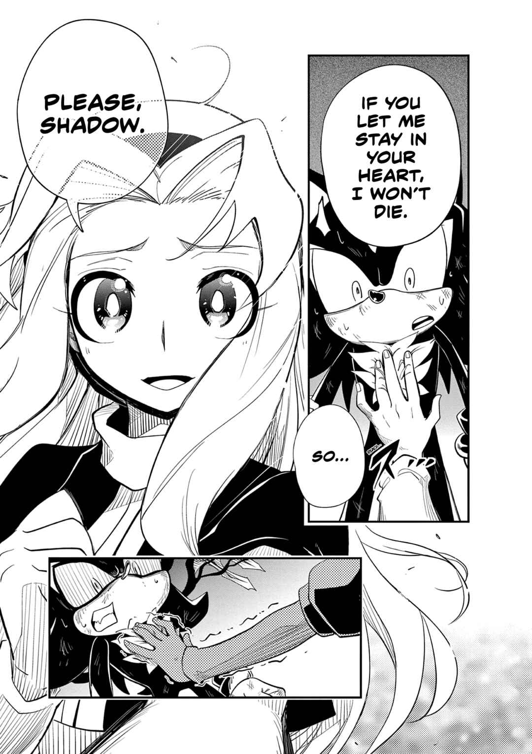 Page 13 Chapter 6 The Jet Black Hedgehog: Shadow the Hedgehog