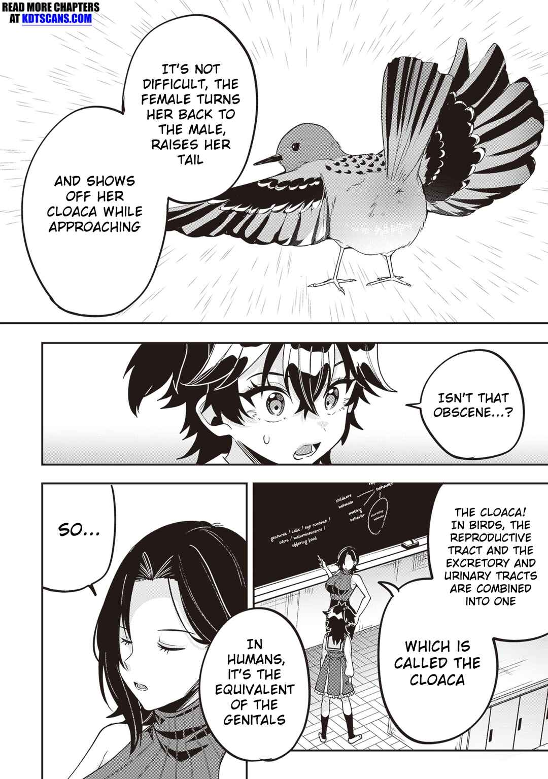 Page 13 Chapter 16 Hikaru to Hikaru