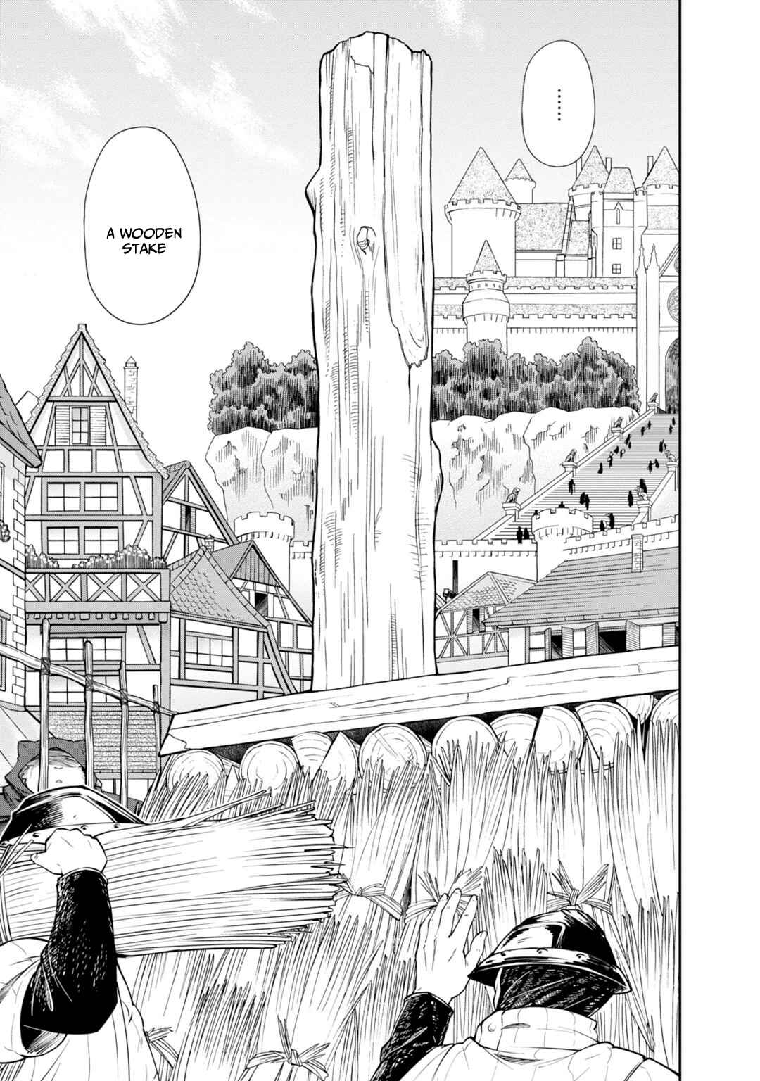 Page 3 Chapter 11 Grimoire of Zero