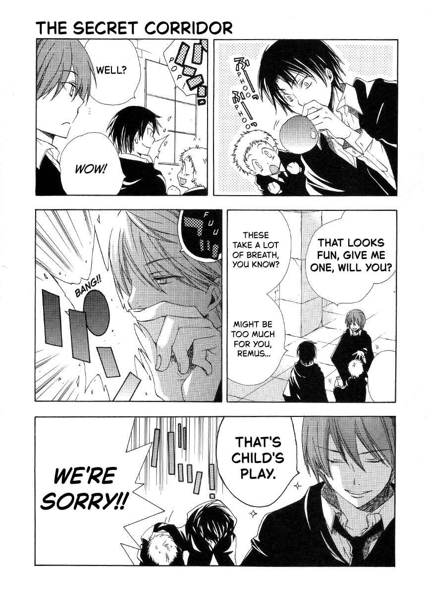 Page 29 Chapter 1 Harry Potter - The World (Doujinshi)