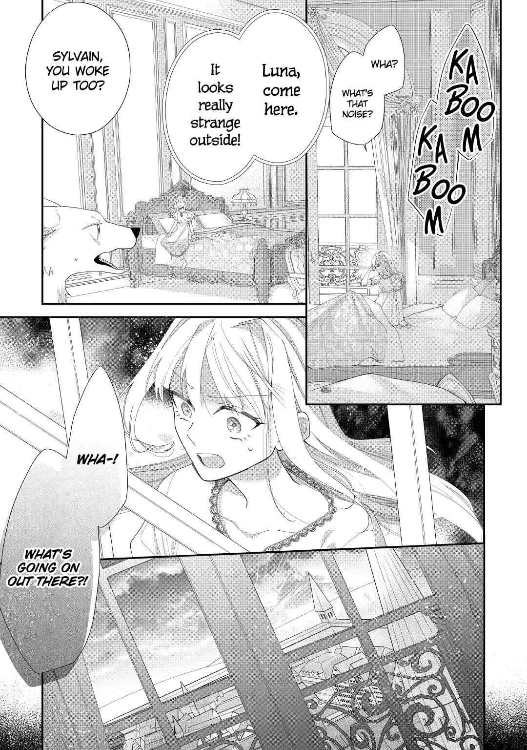 Page 27 Chapter 4 Moto Juui no Reijou wa Konyaku Haki Saremashitaga, Mofumofu-tachi ni Daininkidesu!