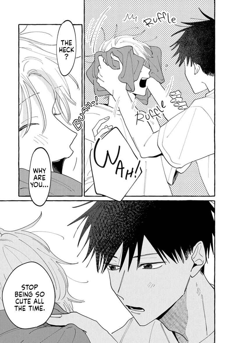 Page 21 Chapter 13 Kimi to Nara Koi wo Shite Mite mo