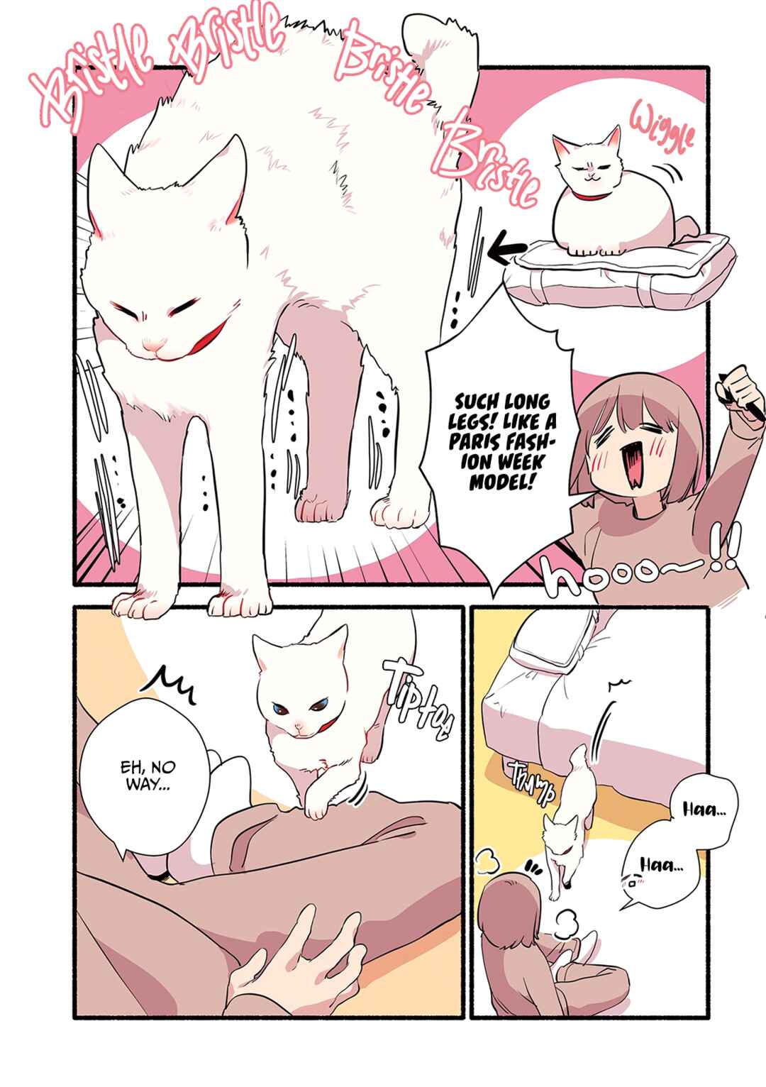 Page 4 Chapter 1.5 Aisaretagari no Shironeko Miko-san