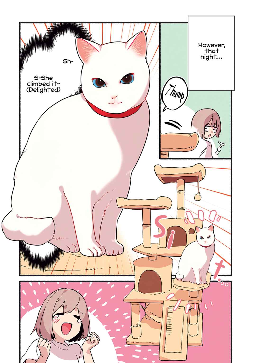Page 3 Chapter 3.3 Aisaretagari no Shironeko Miko-san