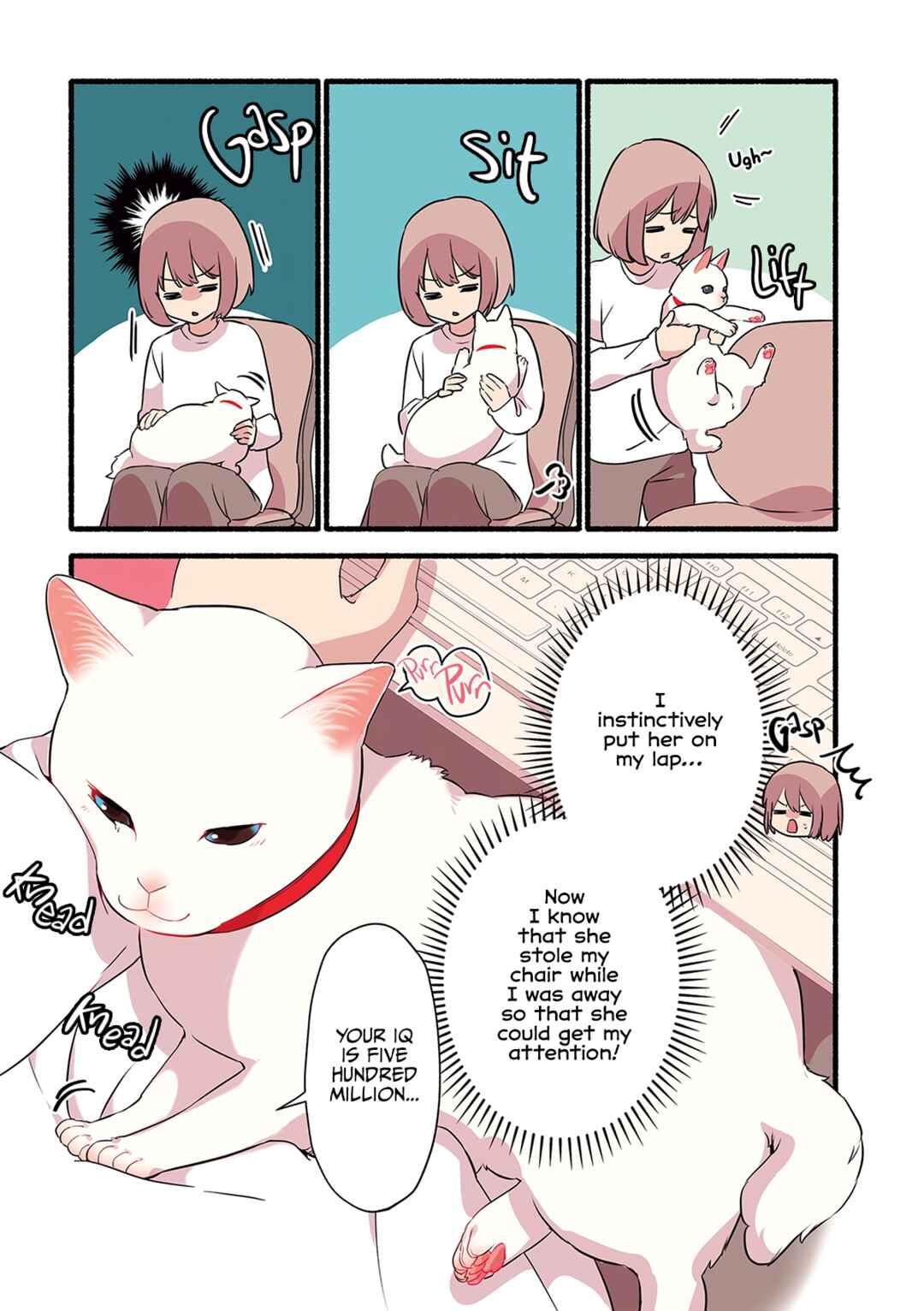 Page 3 Chapter 1.3 Aisaretagari no Shironeko Miko-san