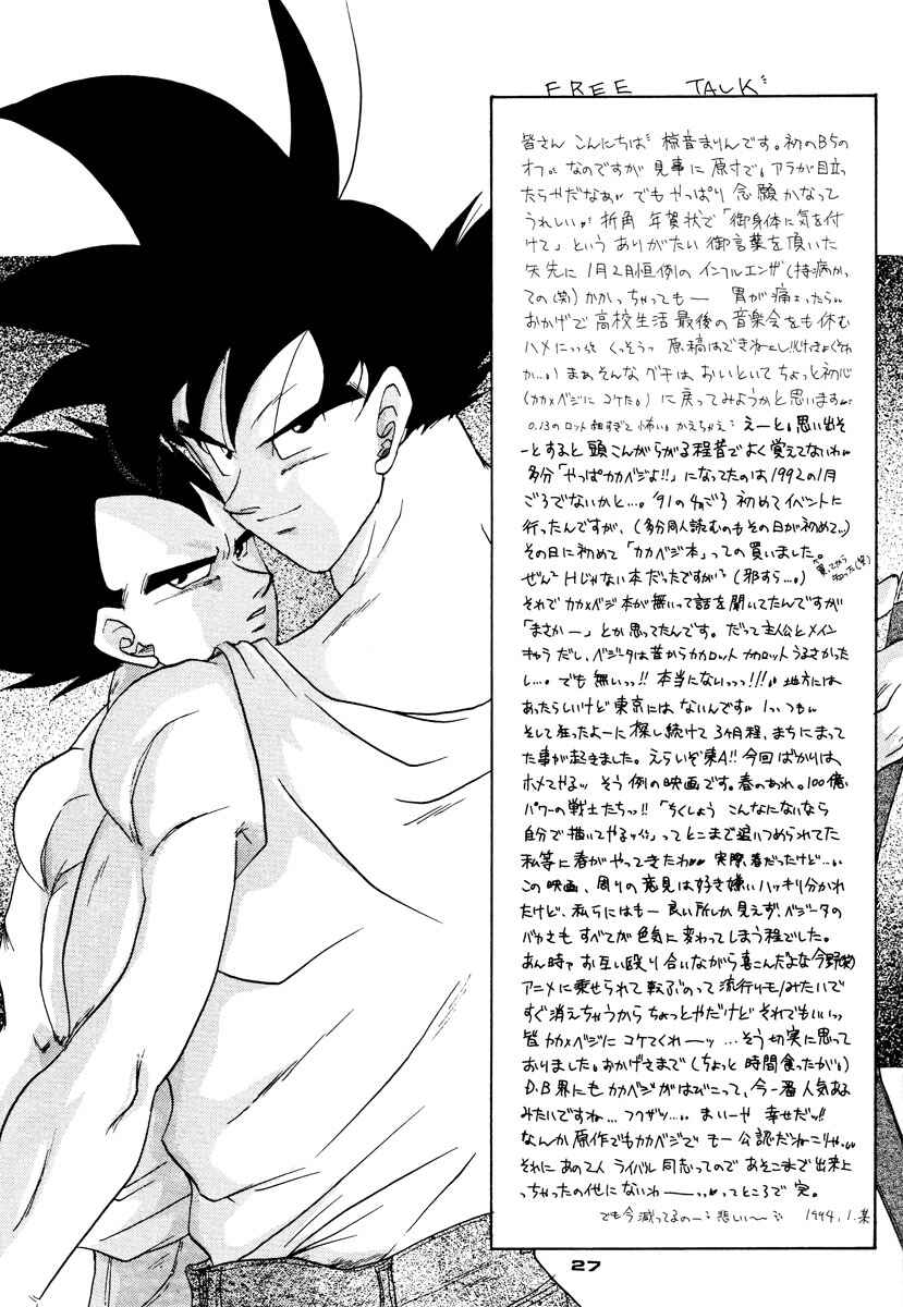 Page 28 Chapter Unknown_671d Dragon Ball - PLEASURE (Doujinshi)