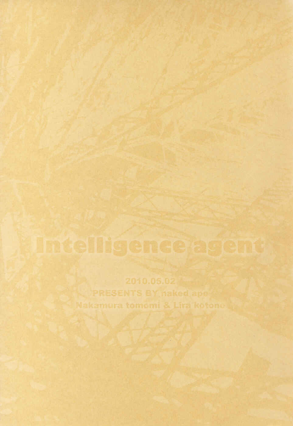 Page 3 Chapter Unknown_ef91 Dolls - Intelligence Agent (Doujinshi)