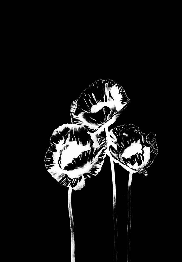 Page 32 Chapter 19.1 The Funeral Procession of K