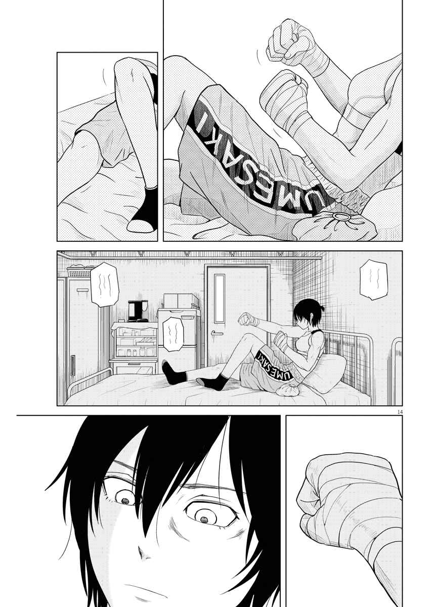 Page 14 Chapter 79 Saotome Senshu, Hitakakusu