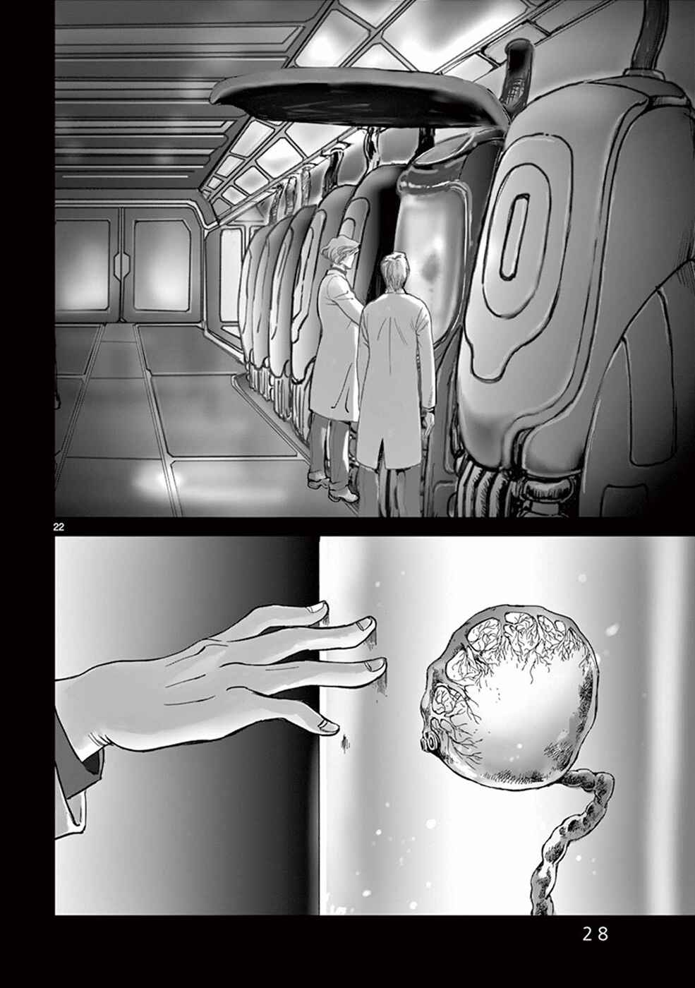 Page 28 Chapter 24 Wombs