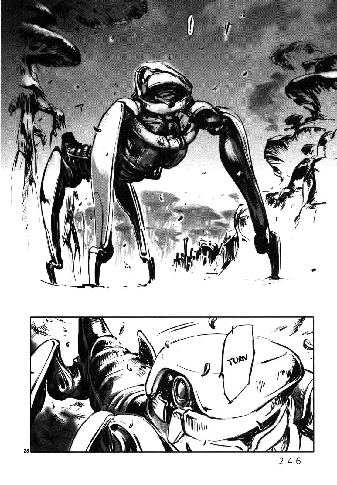 Page 30 Chapter 8 Wombs