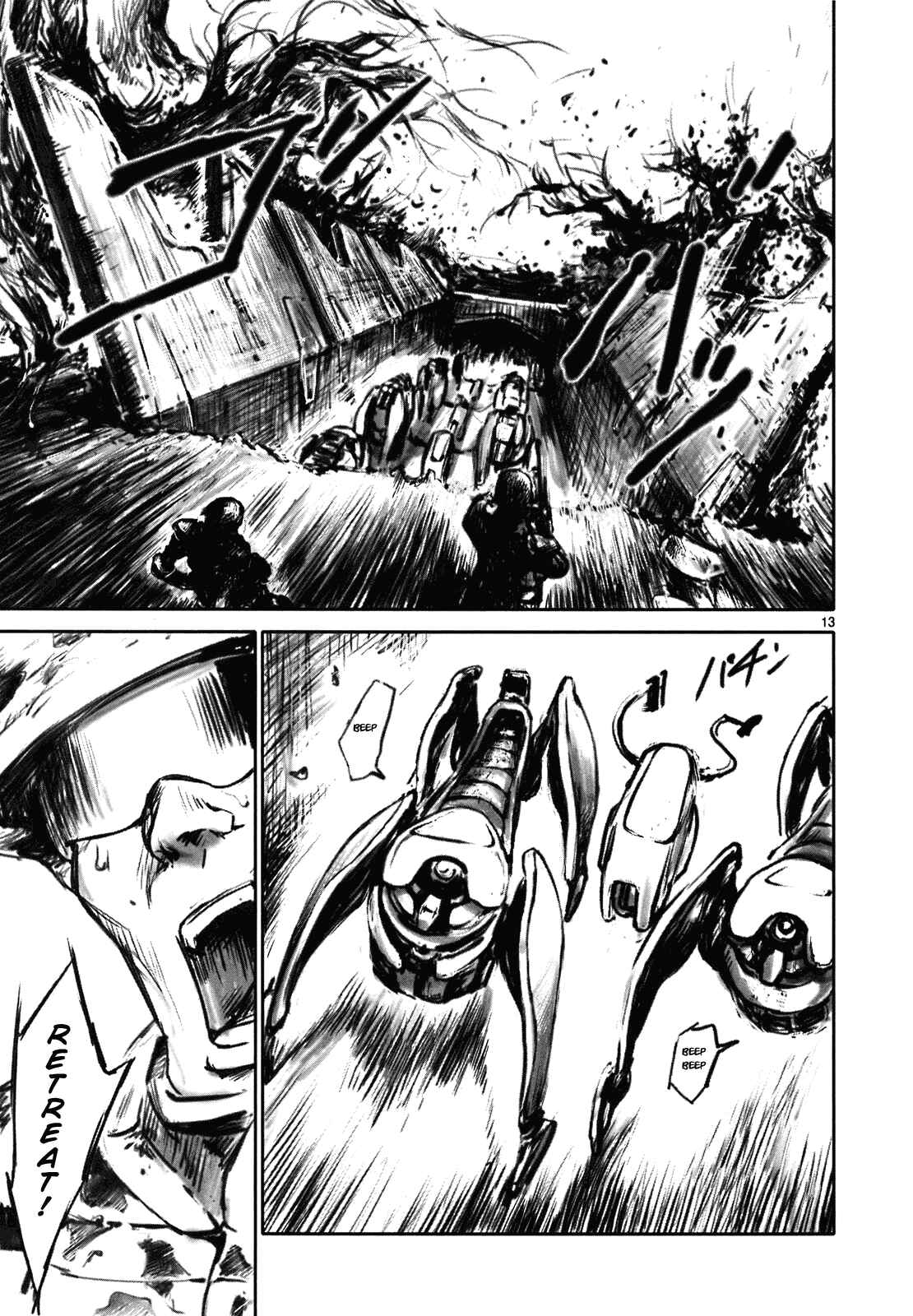 Page 13 Chapter 13 Wombs