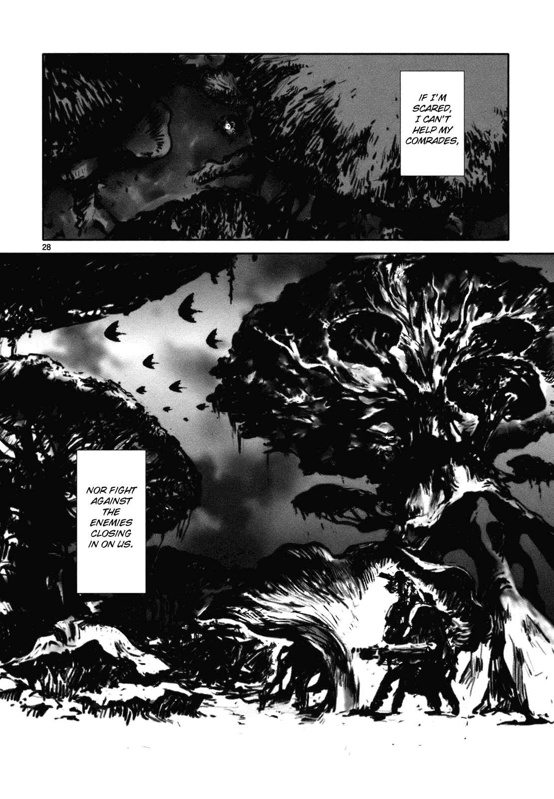 Page 27 Chapter 6 Wombs