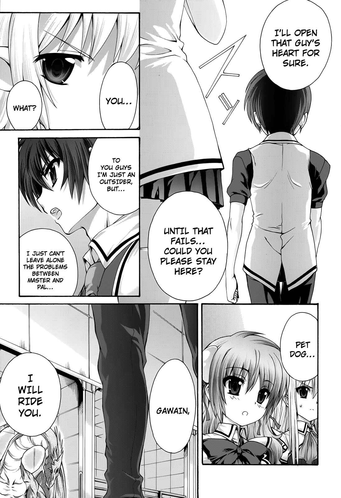 Page 13 Chapter 18 Seikoku no Dragonar