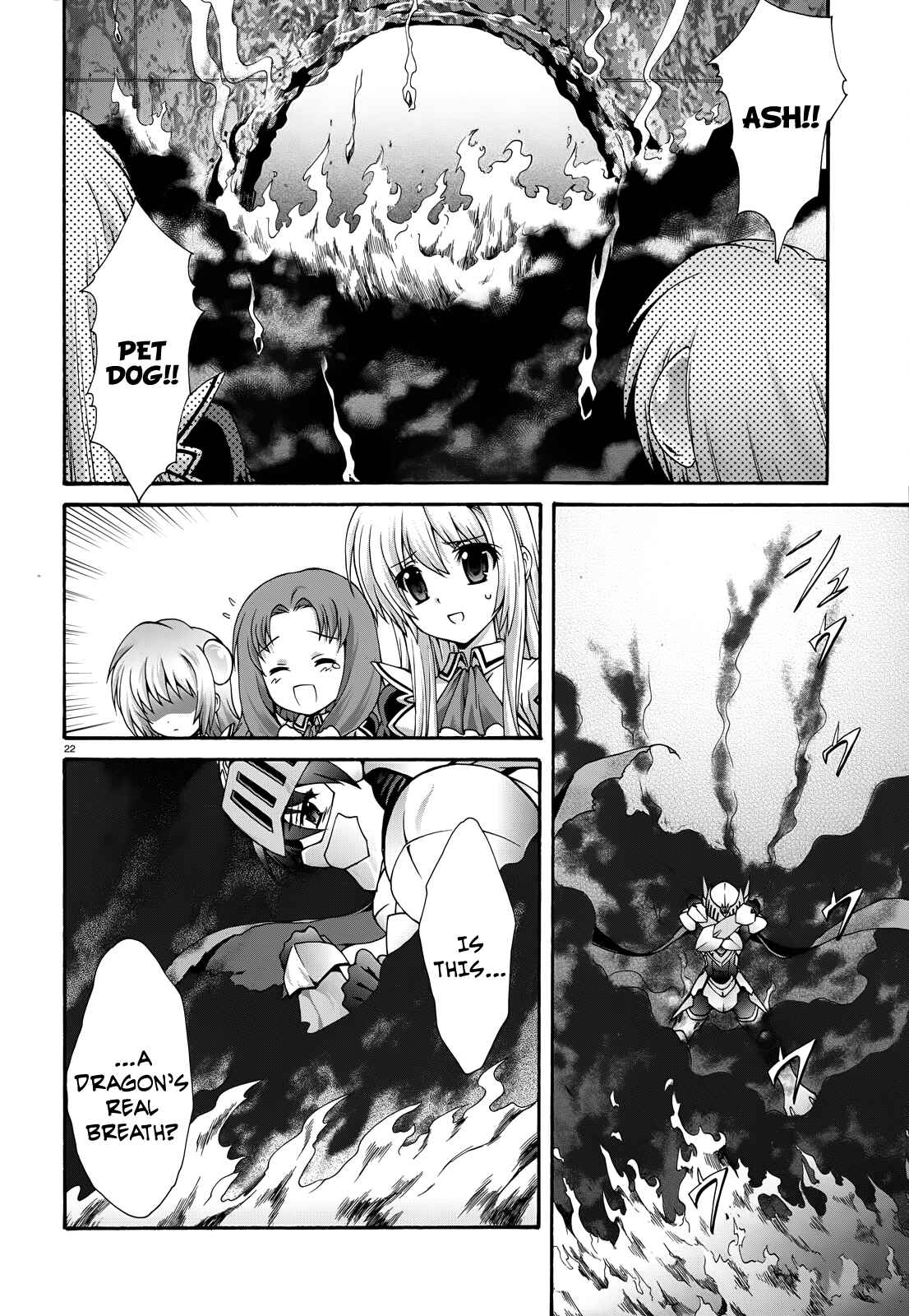 Page 21 Chapter 18 Seikoku no Dragonar