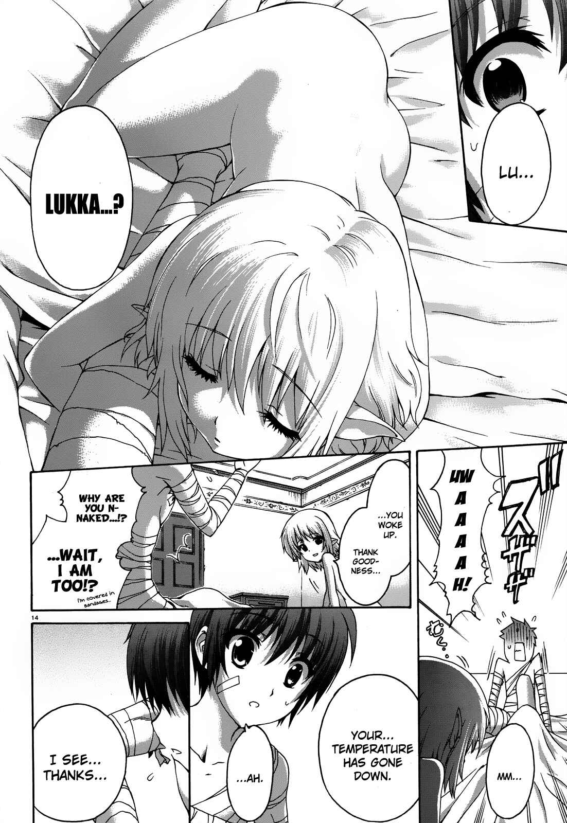 Page 15 Chapter 20 Seikoku no Dragonar