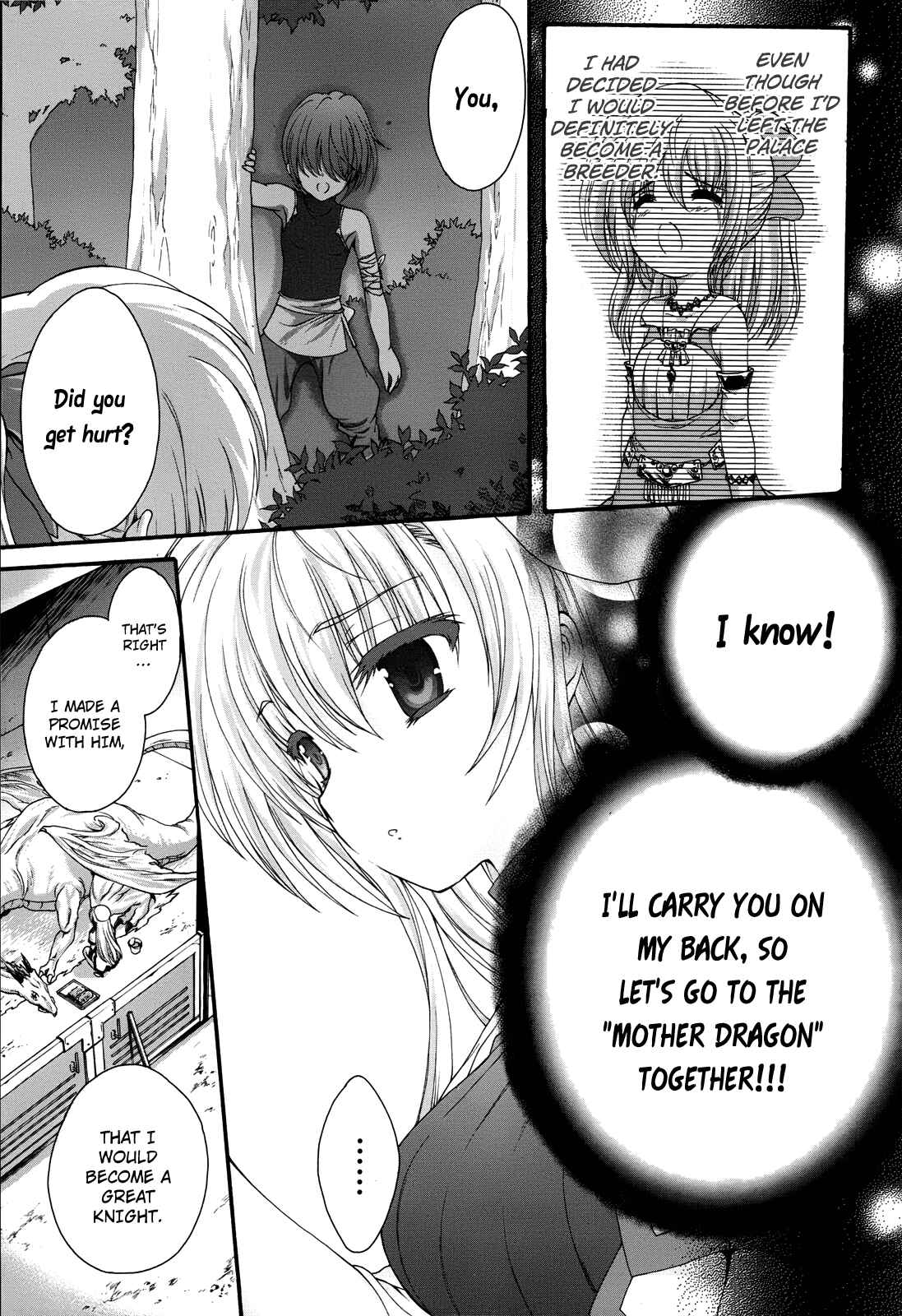 Page 3 Chapter 5 Seikoku no Dragonar