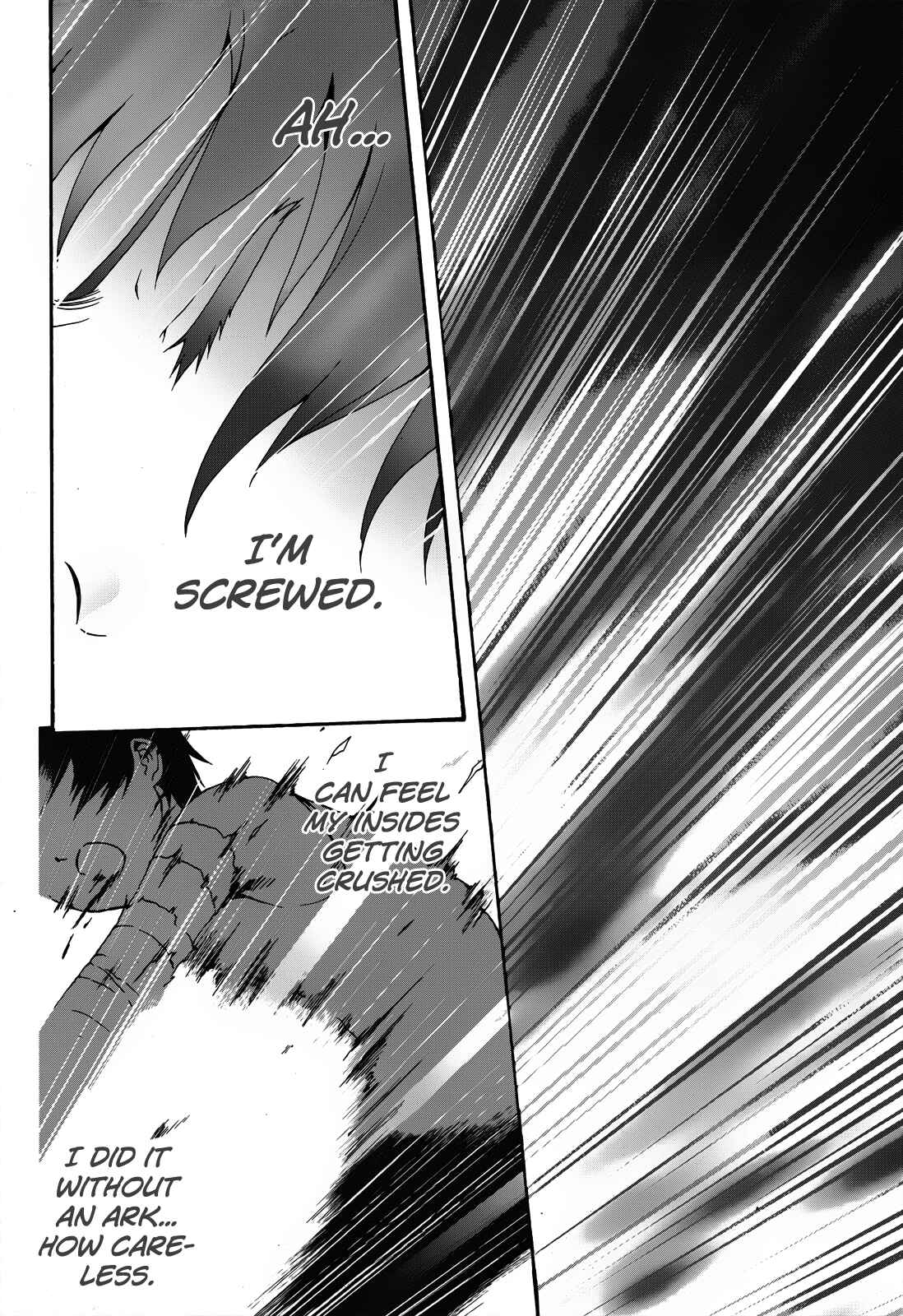 Page 27 Chapter 19 Seikoku no Dragonar