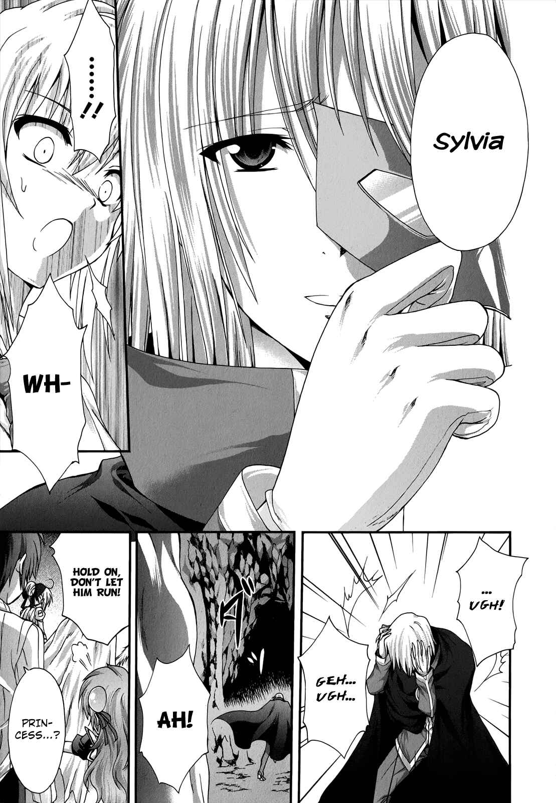 Page 17 Chapter 21 Seikoku no Dragonar