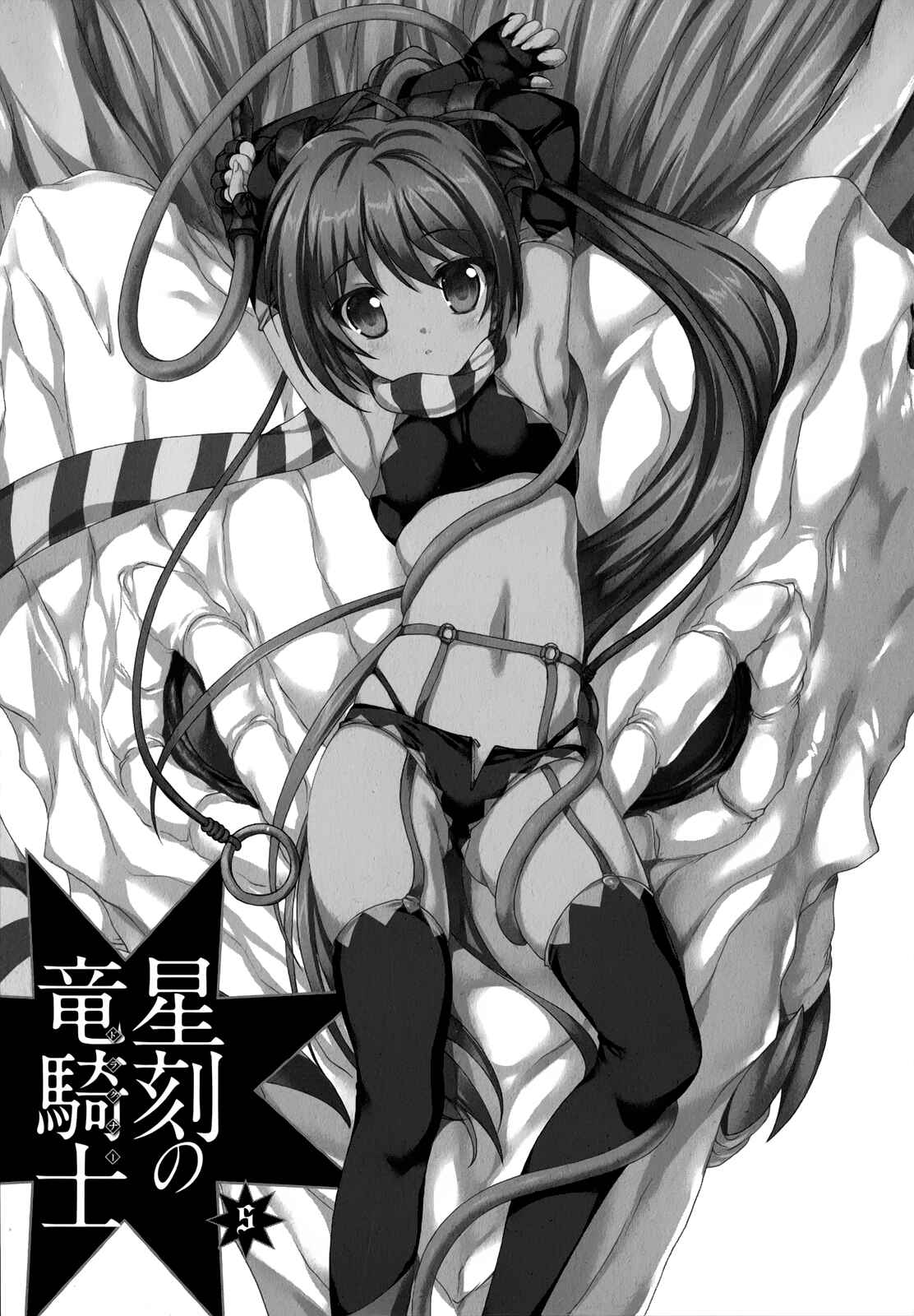 Page 5 Chapter 21 Seikoku no Dragonar