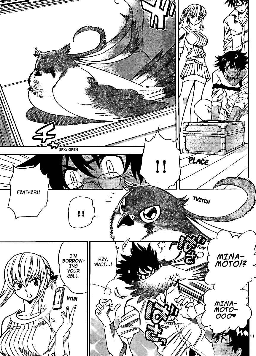 Page 11 Chapter 222 Zettai Karen Children