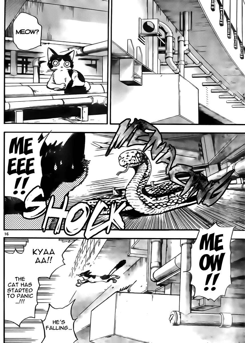 Page 16 Chapter 416 Zettai Karen Children