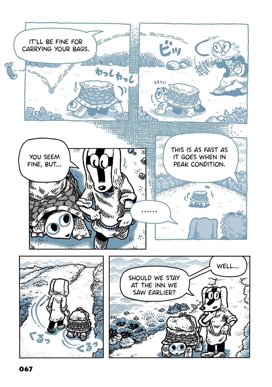 Page 5 Chapter 5 Leteitenite