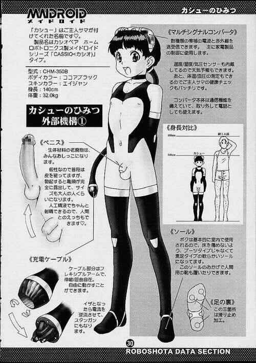 Page 29 Chapter Unknown_1a0a 2H Maidroid