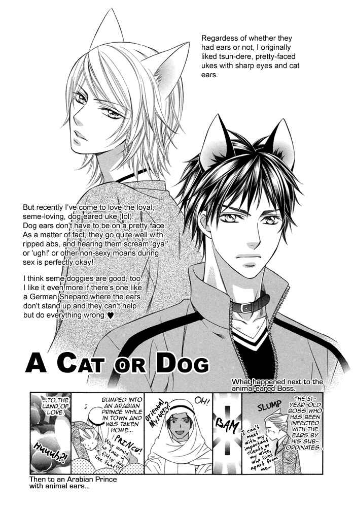 Page 2 Chapter 8 After Morning Love