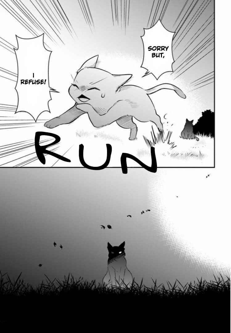 Page 41 Chapter 2 Nakitai Watashi wa Neko o Kaburu