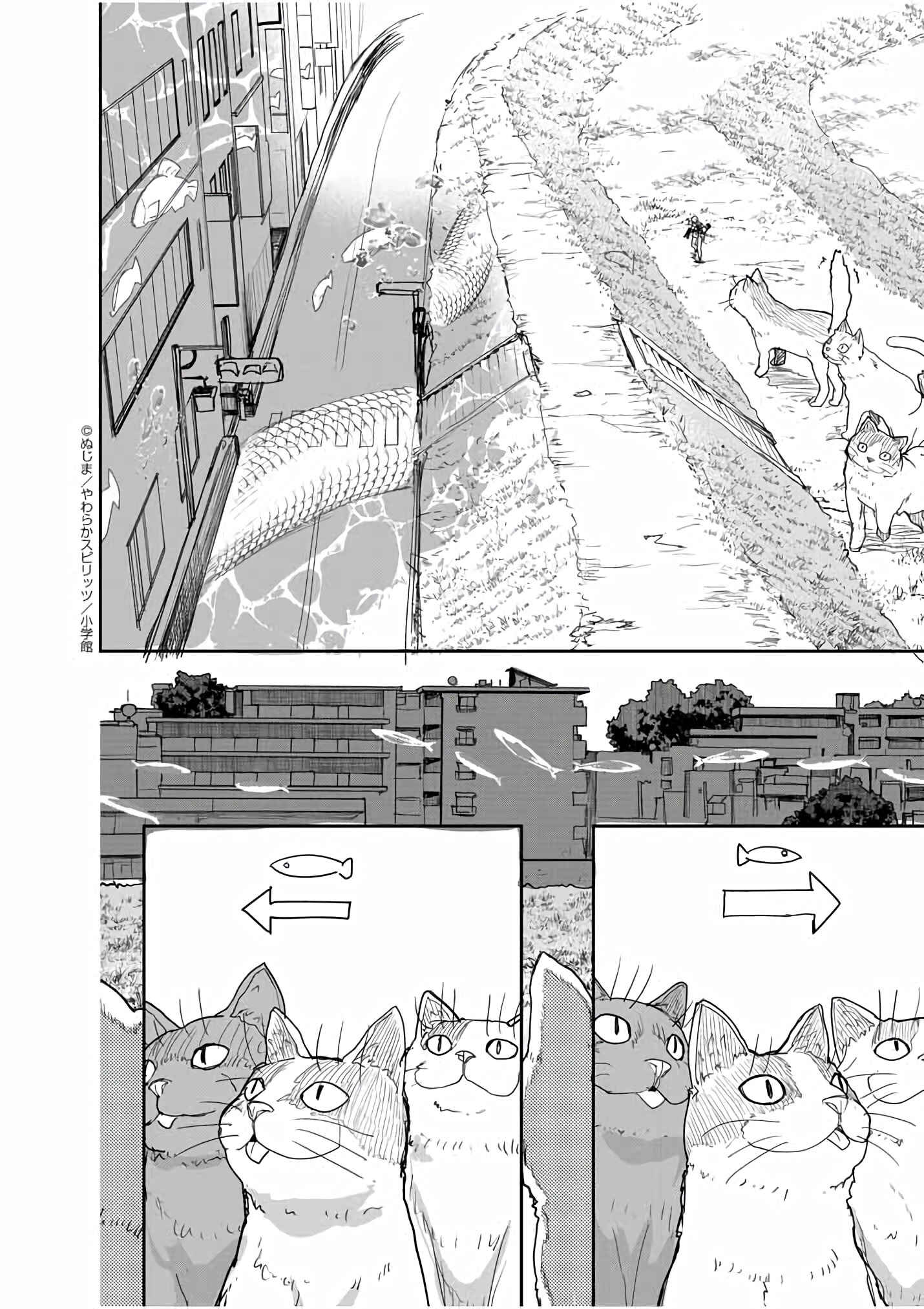 Page 11 Chapter 40 Mysterious Disappearances