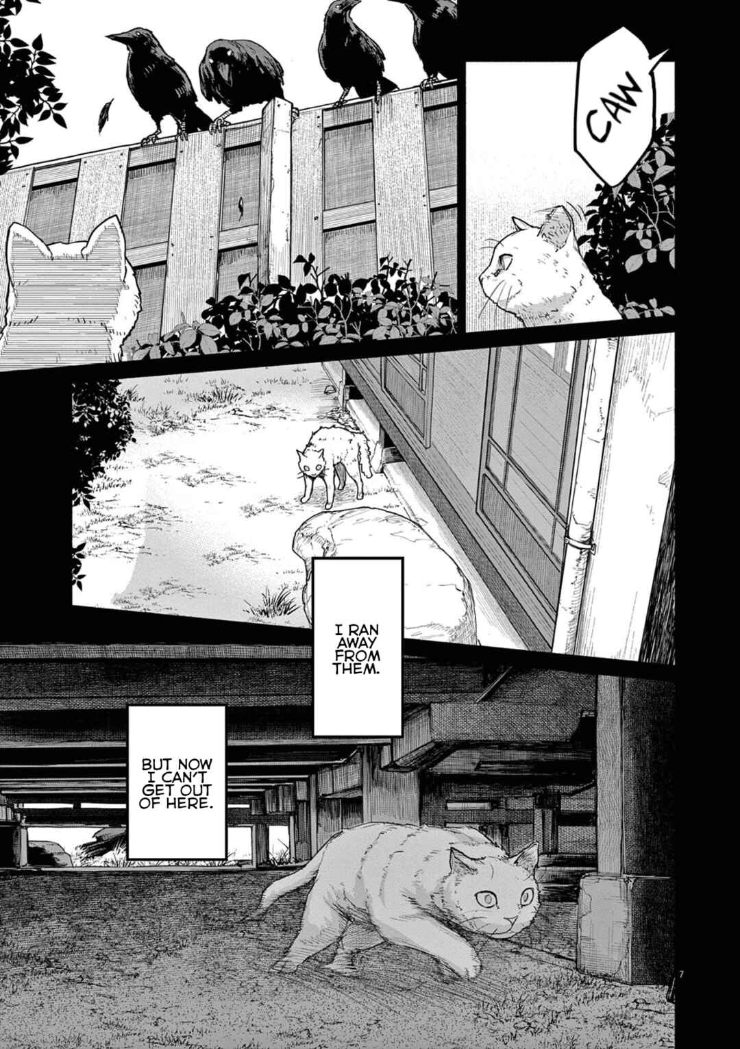Page 7 Chapter 49 Mysterious Disappearances