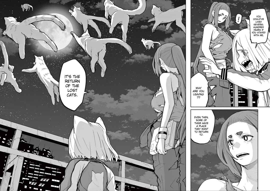 Page 5 Chapter 51 Mysterious Disappearances