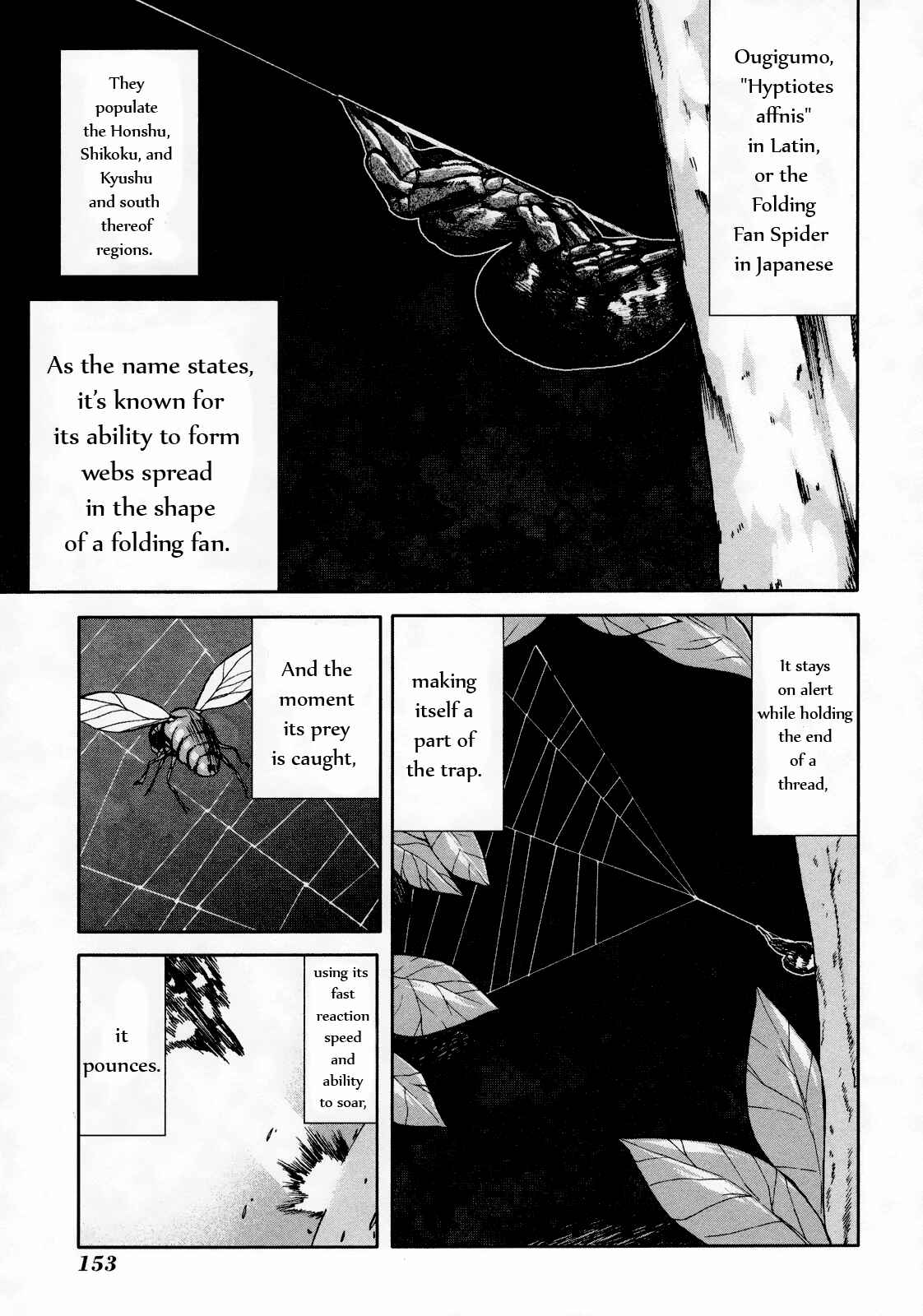 Page 13 Chapter 49 Arachnid