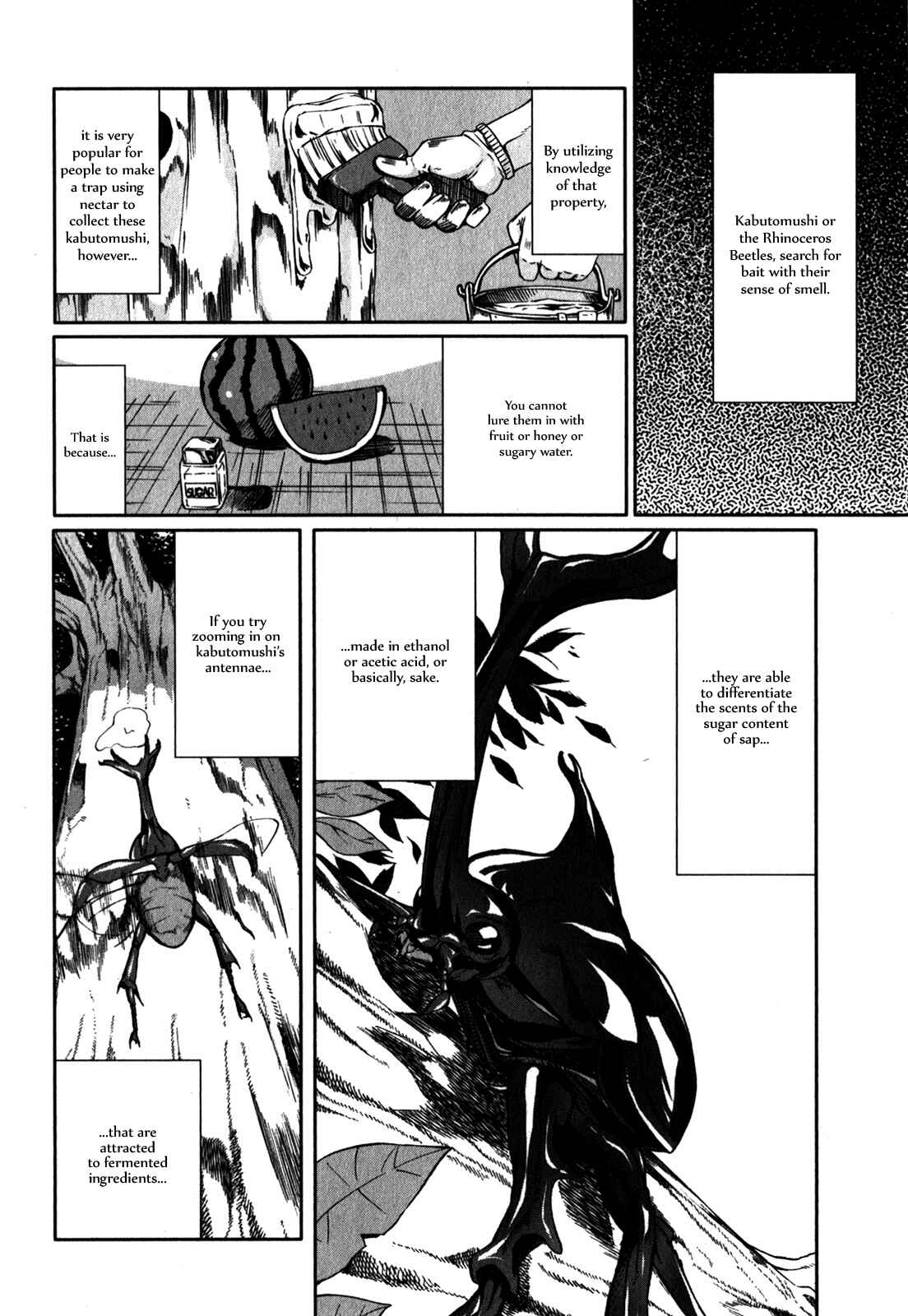 Page 12 Chapter 28 Arachnid