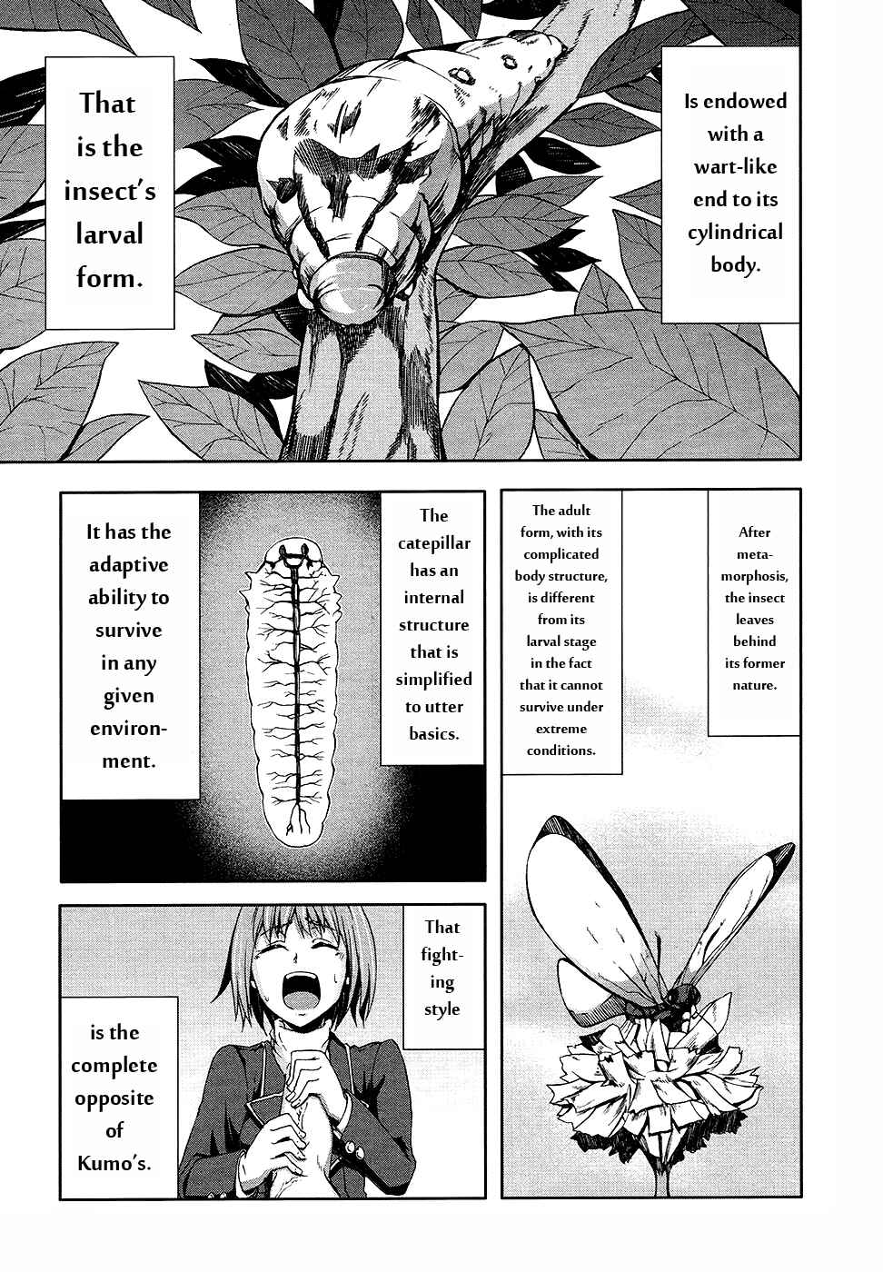 Page 19 Chapter 31 Arachnid