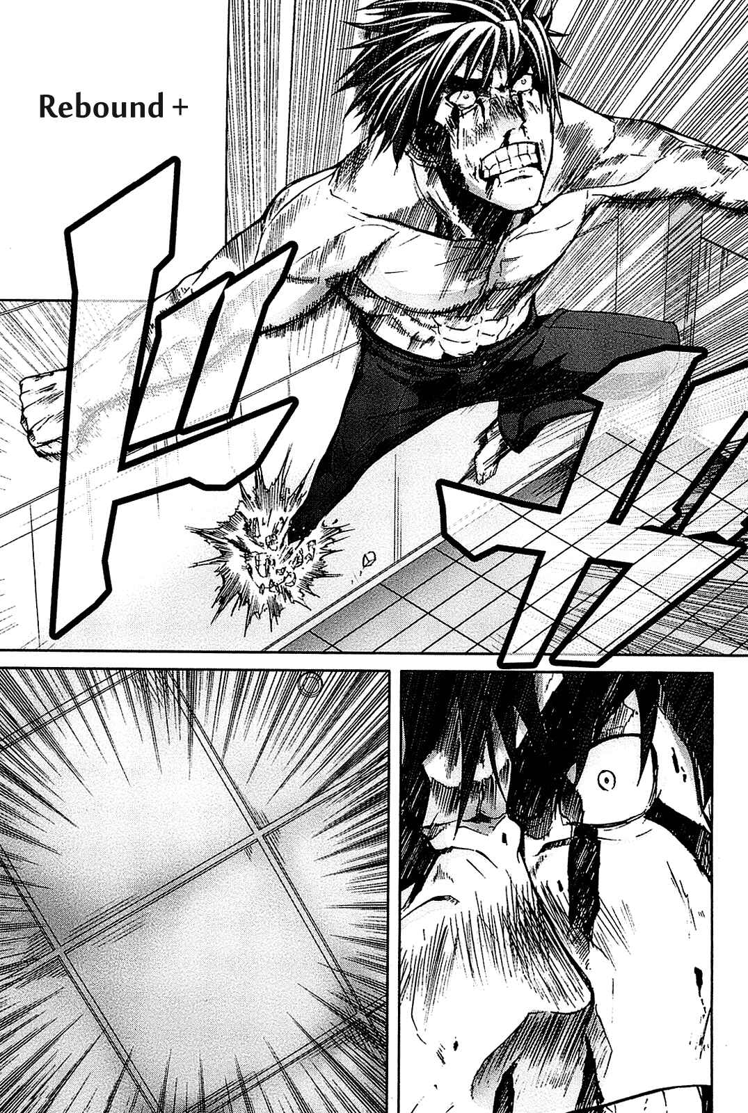 Page 21 Chapter 24 Arachnid