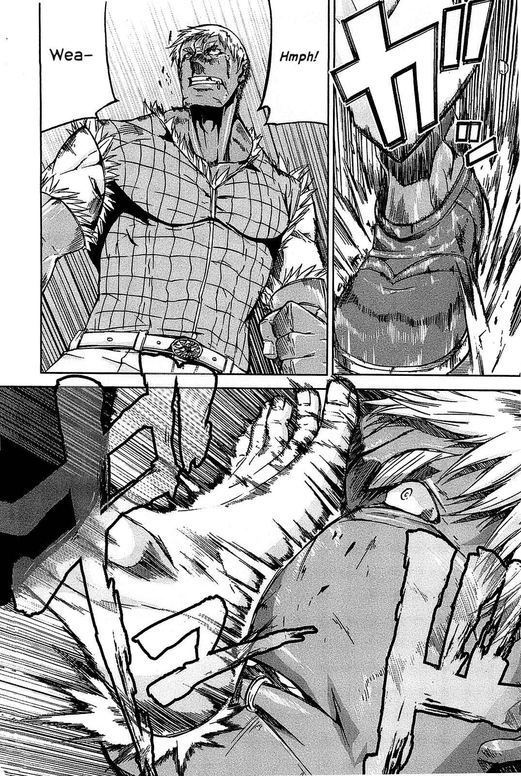 Page 29 Chapter 24 Arachnid