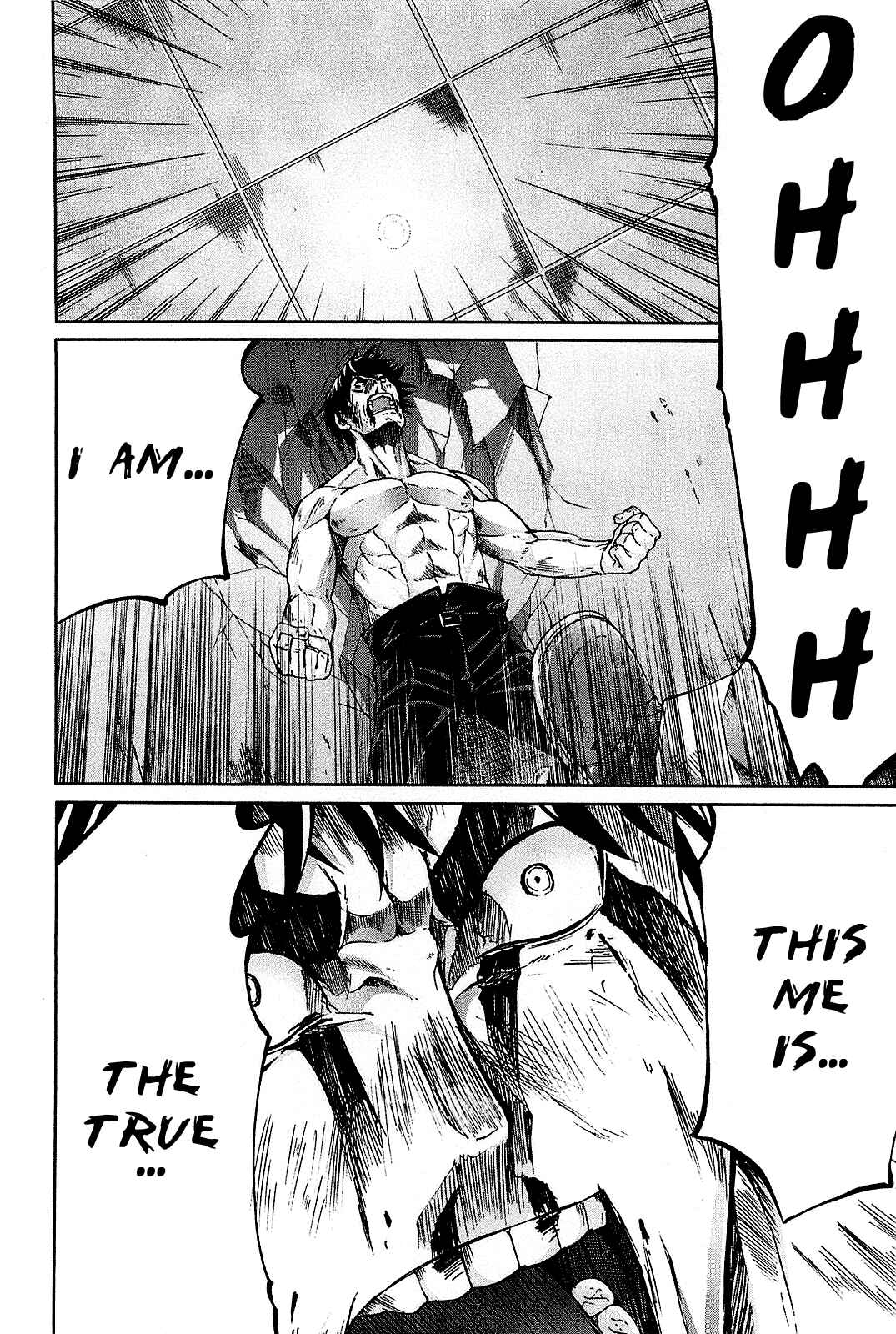 Page 41 Chapter 24 Arachnid