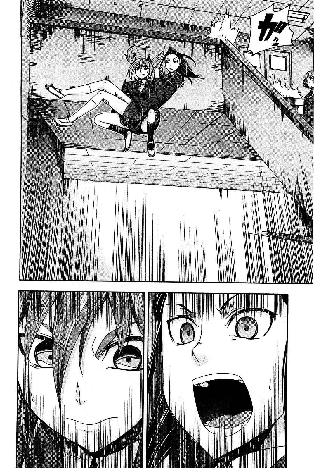 Page 6 Chapter 24 Arachnid