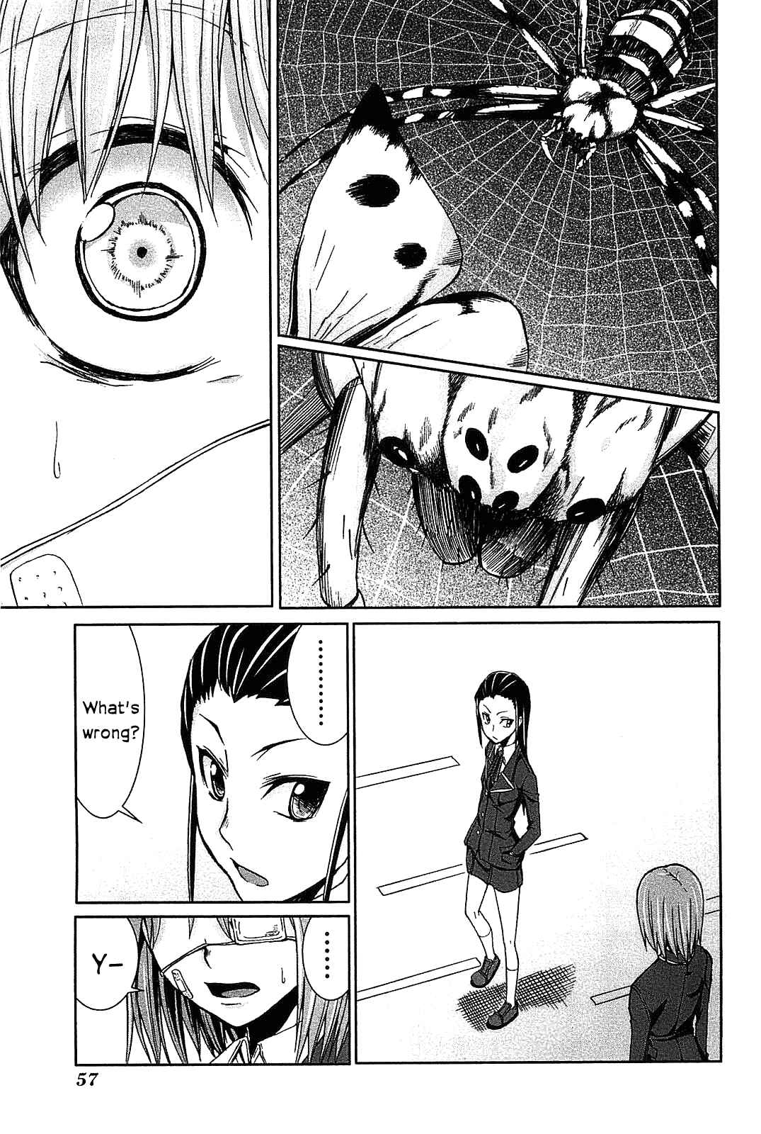 Page 27 Chapter 17 Arachnid