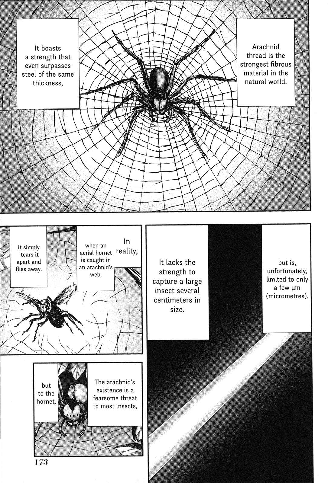 Page 3 Chapter 66 Arachnid
