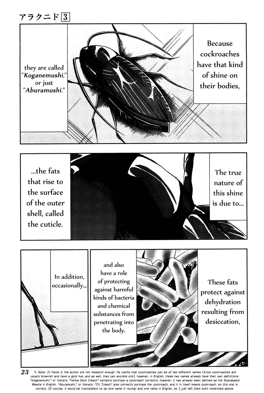 Page 26 Chapter 11 Arachnid