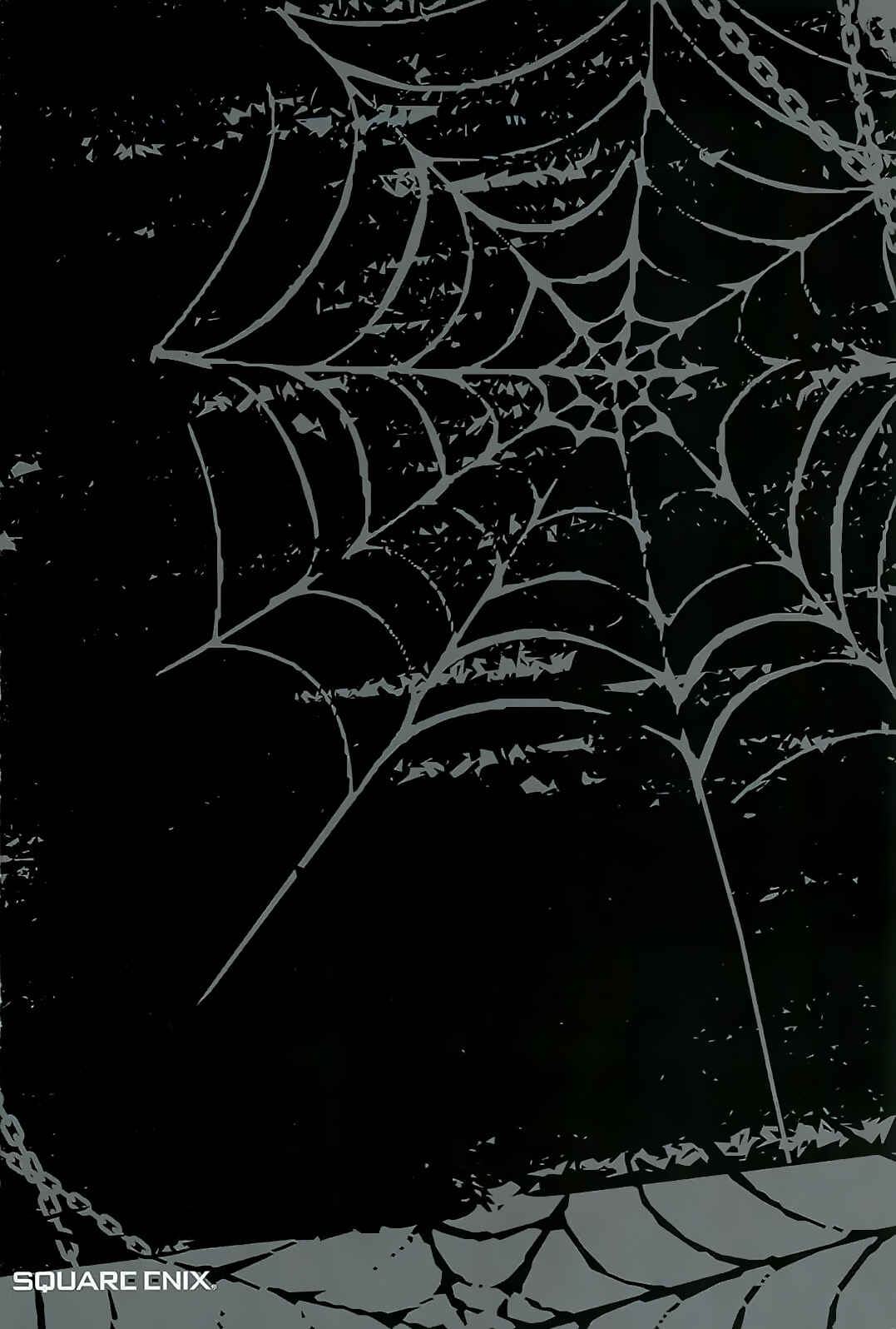 Page 3 Chapter 11 Arachnid