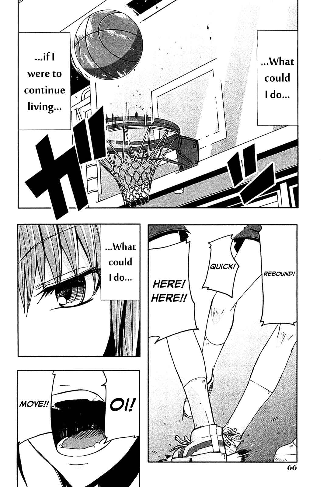 Page 14 Chapter 7 Arachnid